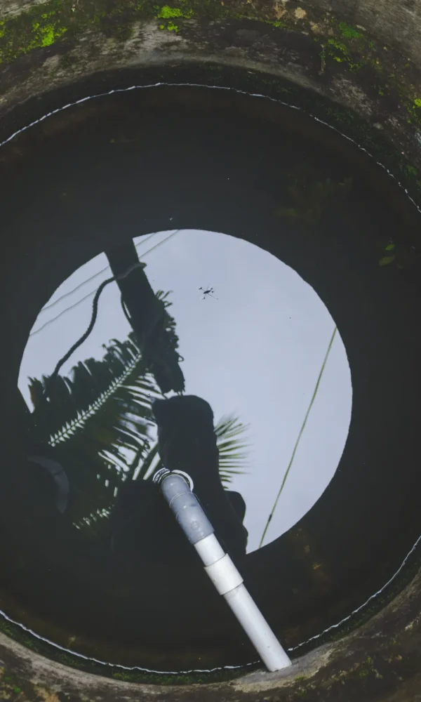 12 600x1000